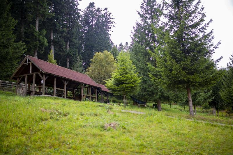 هتل Floare De Colt