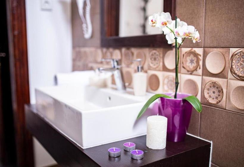 هتل Floare De Colt