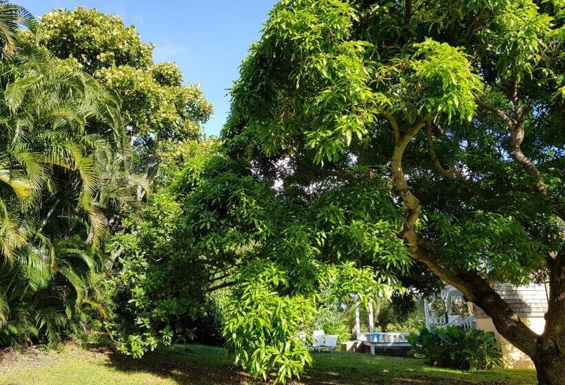 هتل Habitation Du Comté