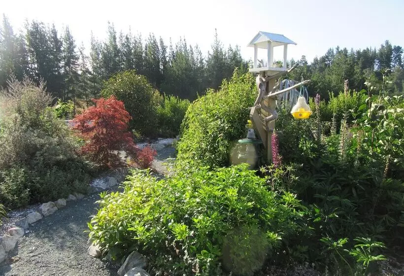 Hotelli Redwood Valley B & B