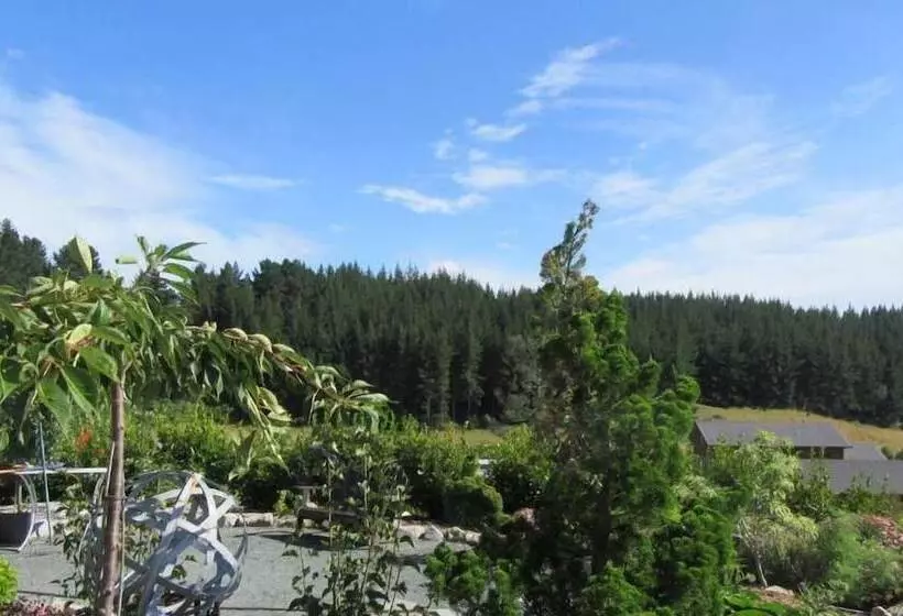 Hotelli Redwood Valley B & B