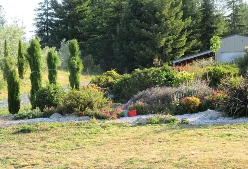 Hotelli Redwood Valley B & B