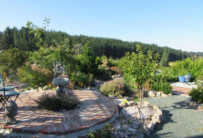 בית מלון כפרי Redwood Valley B & B