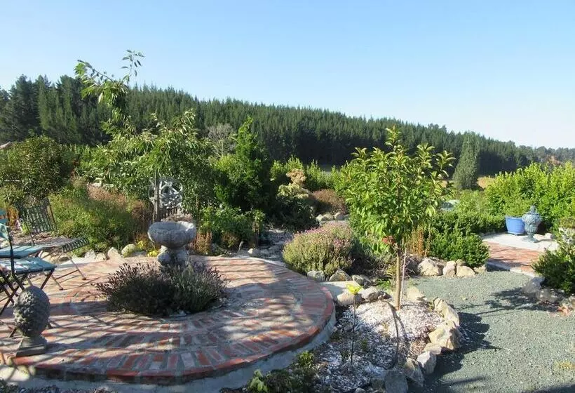 Hotelli Redwood Valley B & B