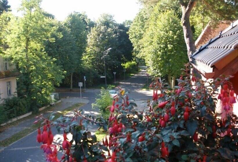 בית מלון כפרי Willa 4 Pory Roku & Uznam