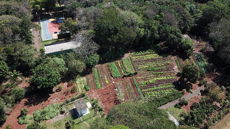 فندق Bourbon Thermas Eco Resort Cataratas Do Iguacu