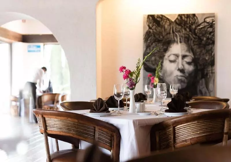 Отель Mision Grand Casa Colorada