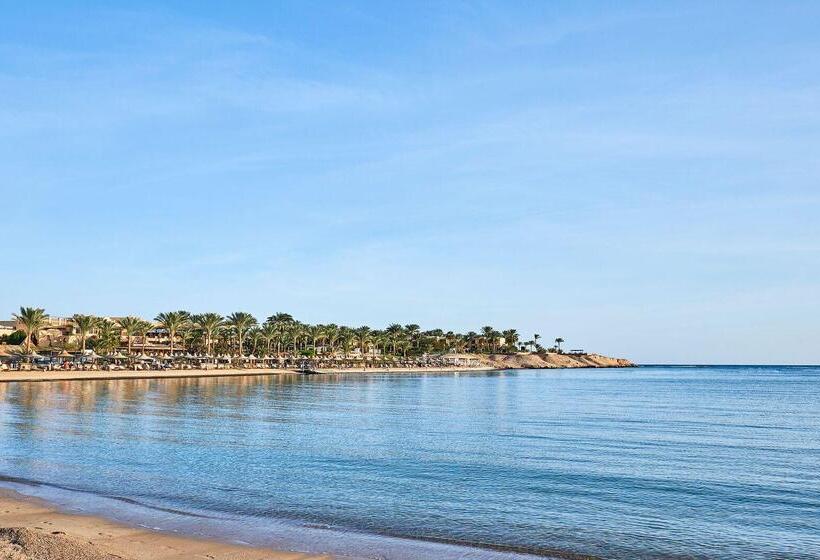 هتل Steigenberger Coraya Beach Adults Friendly 16 Years Plus