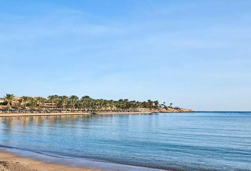 هتل Steigenberger Coraya Beach Adults Friendly 16 Years Plus