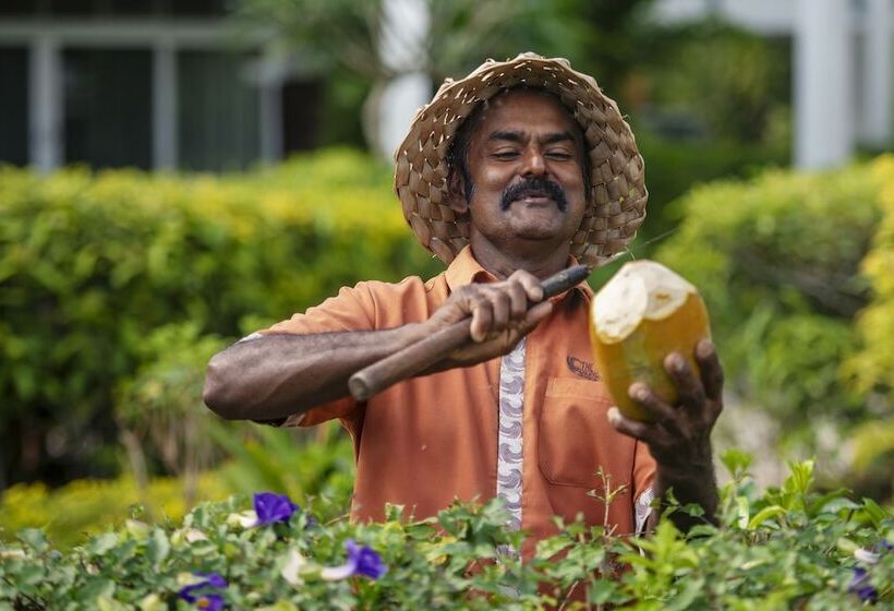 호텔 The Terraces Apartments Denarau