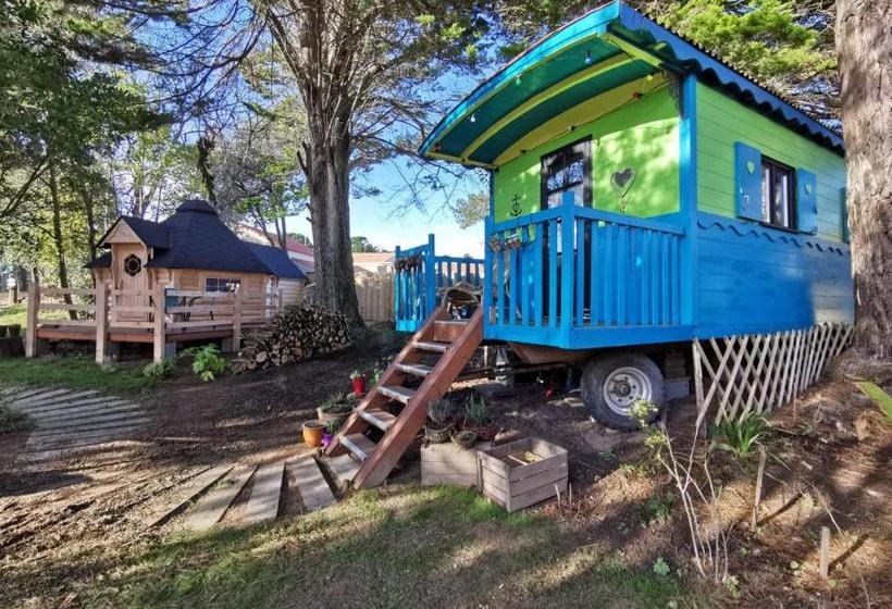 Pensjonat Juste Par Hasard Chambres D Hôtes Insolites à 140 M De La Mer