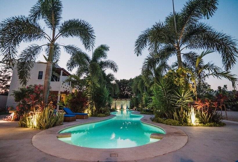 فندق Blue Palm Bacalar