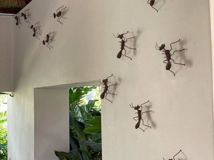 فندق Blue Palm Bacalar