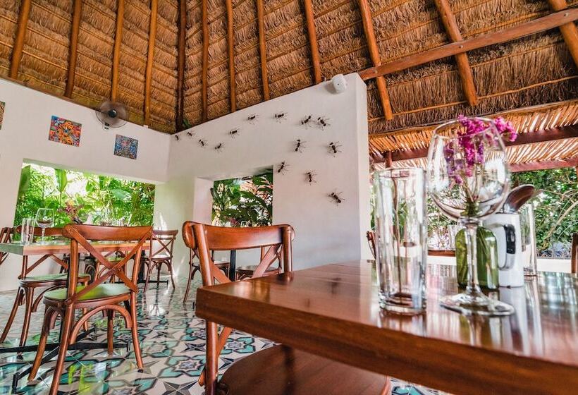 فندق Blue Palm Bacalar