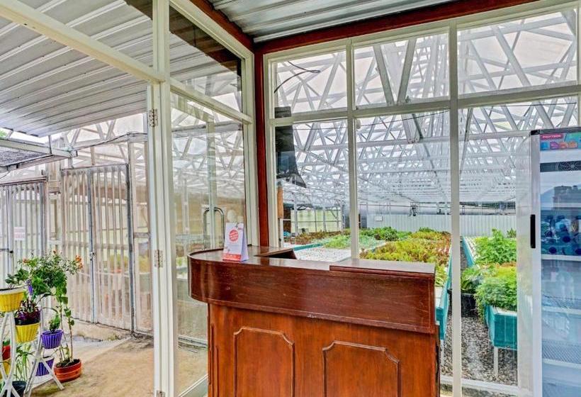 Hotel Oyo 90225 Rumah Bamboo