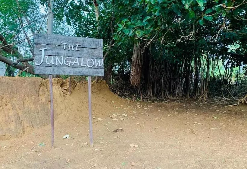 Lomakeskus The Jungalow