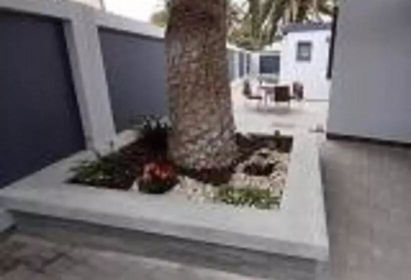 تختخواب و صبحانه Guesthouse Indongo Swakopmund