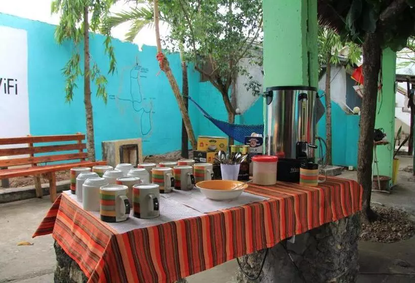 ペンション Homeland Swahili Lodge Nungwi Backpacker Apartments Budget