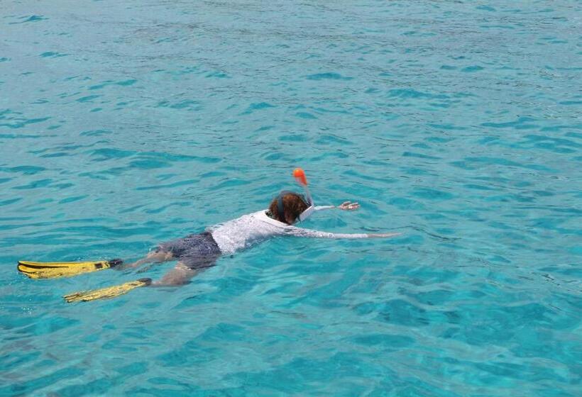 펜션 Homeland Swahili Lodge Nungwi Backpacker Apartments Budget