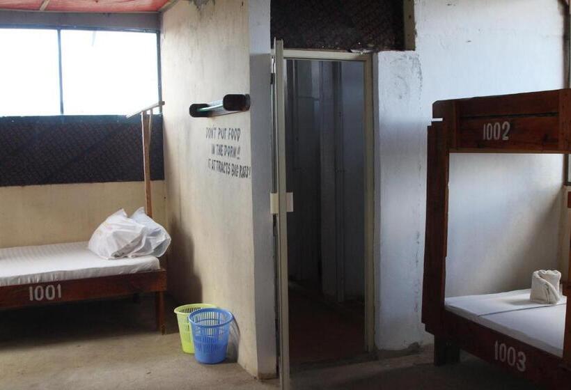 پانسیون Homeland Swahili Lodge Nungwi Backpacker Apartments Budget