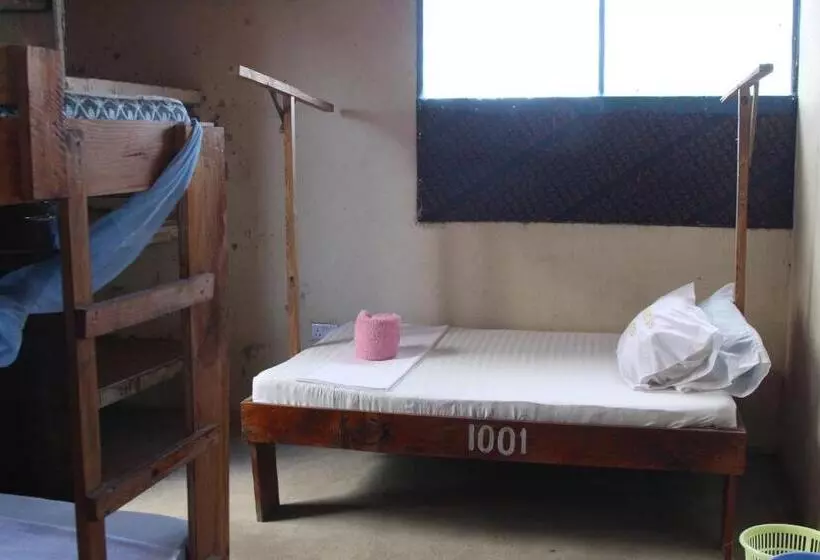 ペンション Homeland Swahili Lodge Nungwi Backpacker Apartments Budget