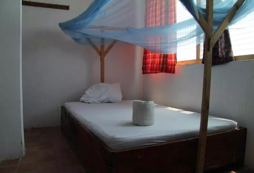 ペンション Homeland Swahili Lodge Nungwi Backpacker Apartments Budget