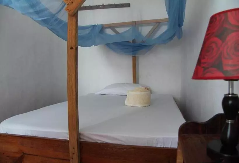 ペンション Homeland Swahili Lodge Nungwi Backpacker Apartments Budget