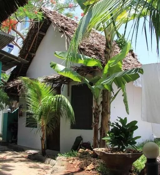 ペンション Homeland Swahili Lodge Nungwi Backpacker Apartments Budget