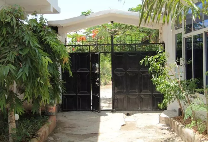 ペンション Homeland Swahili Lodge Nungwi Backpacker Apartments Budget