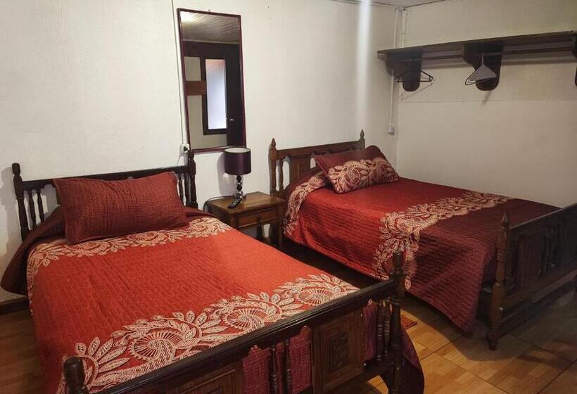 هاستل Hostal Gomero