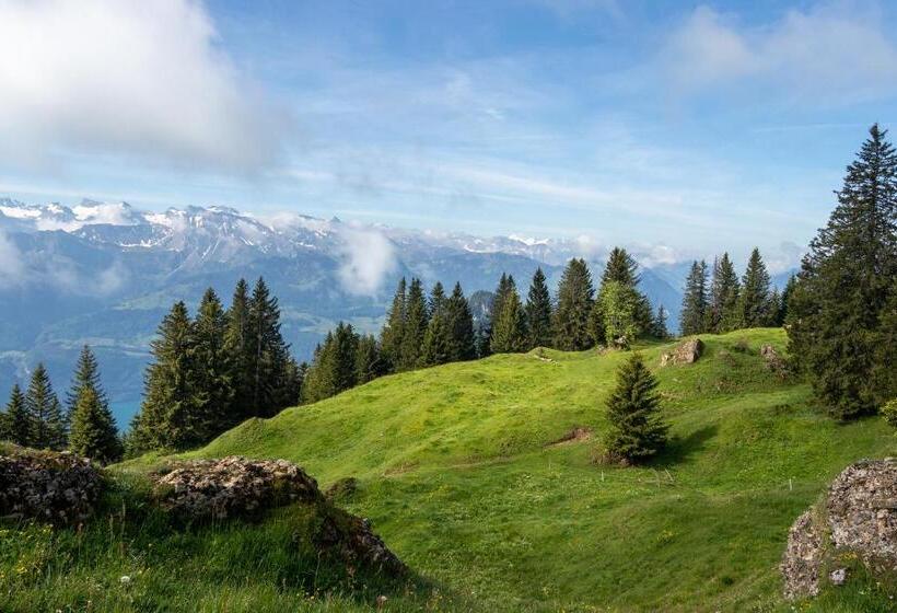 فندق صغير Berggasthaus Rigi Burggeist