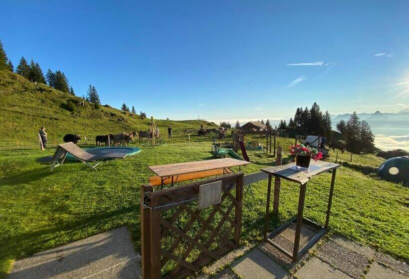 فندق صغير Berggasthaus Rigi Burggeist