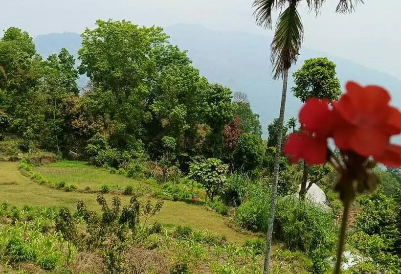 Aamiaismajoitus (B&B) Sai´s Grace