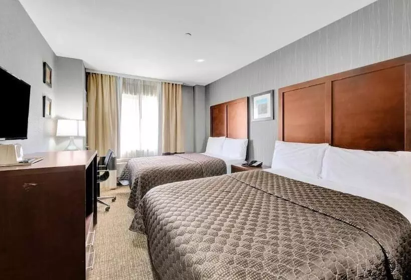 هتل Pergola Jamaica Jfk