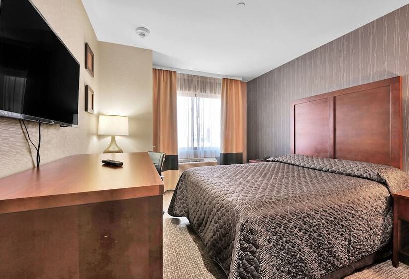 酒店 Pergola Jamaica Jfk