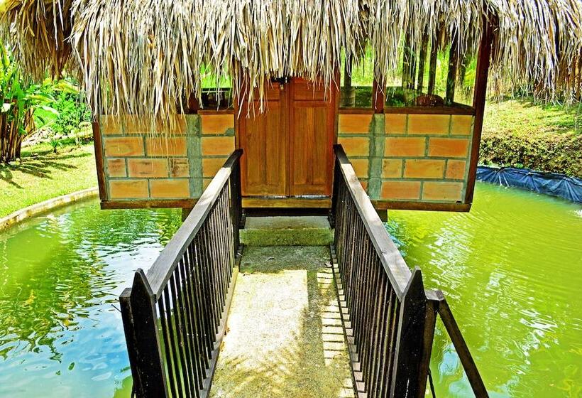 Szálló Aroma De Campo