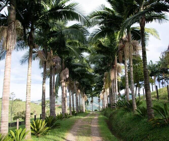 Szálló Aroma De Campo