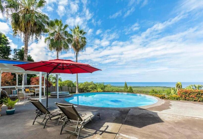 مبيت وإفطار Luana Inn