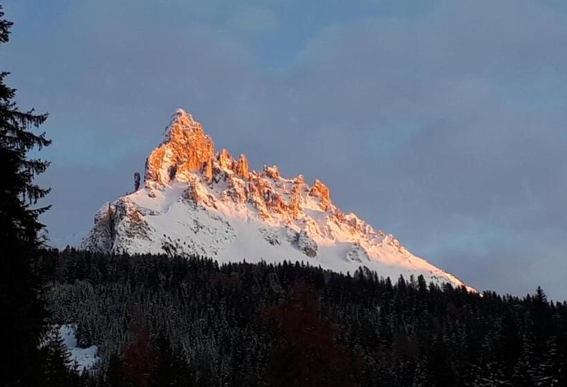 住宿加早餐  Apartments Kranebitt