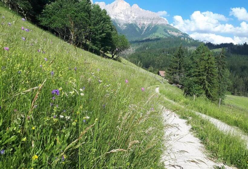 住宿加早餐  Apartments Kranebitt