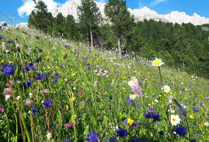 住宿加早餐  Apartments Kranebitt