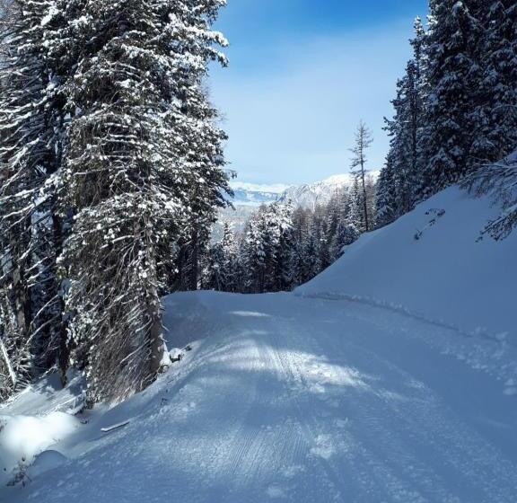 住宿加早餐  Apartments Kranebitt