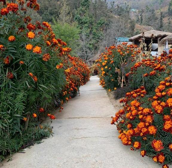 בית מלון כפרי Aaradhey Cottage