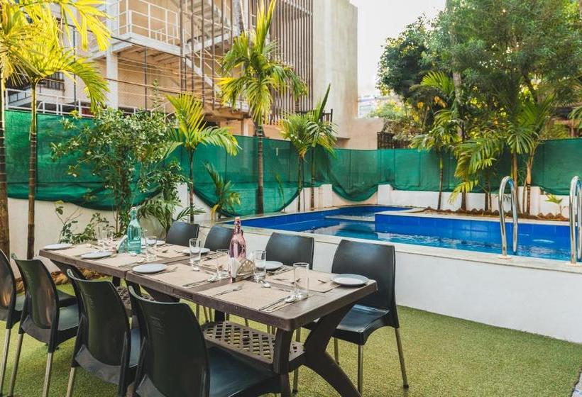 Derive Hotel By Amor