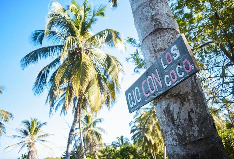 هتل Cocotera Beach