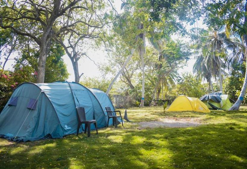 هتل Cocotera Beach