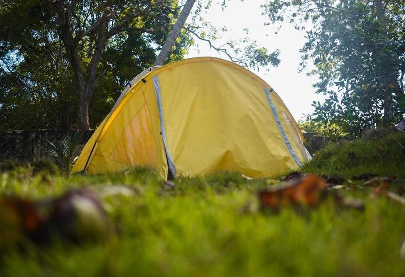 هتل Cocotera Beach