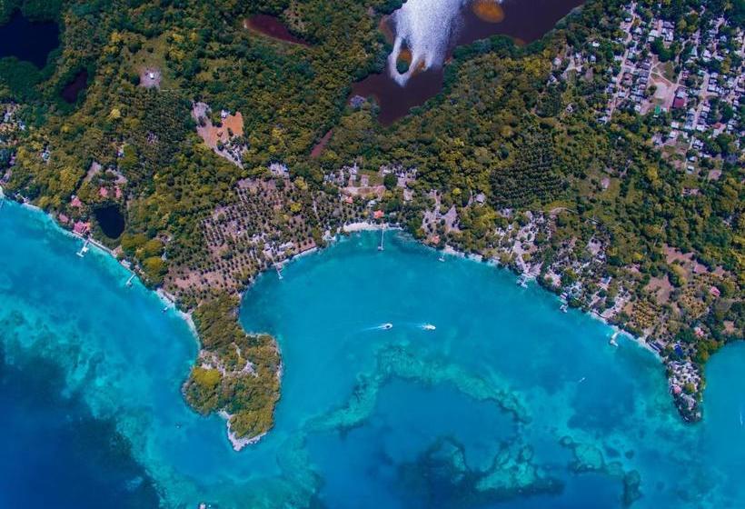 هتل Cocotera Beach