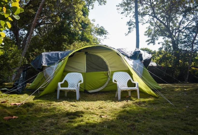 هتل Cocotera Beach