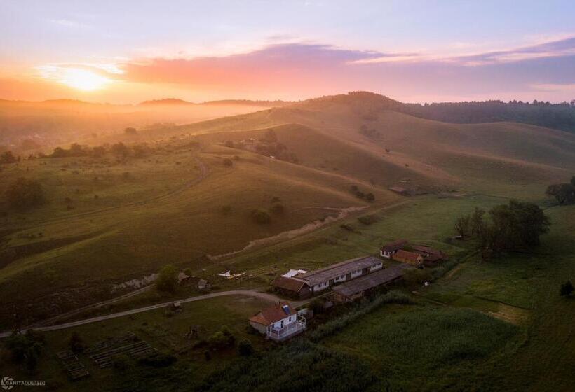 ホテル Faluhely Major